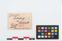 Etiketten zu Bronzegürtelhaken (NHMW-PRAE-024830)